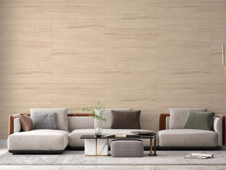 Porcelanato Deltra Cambuci R53
